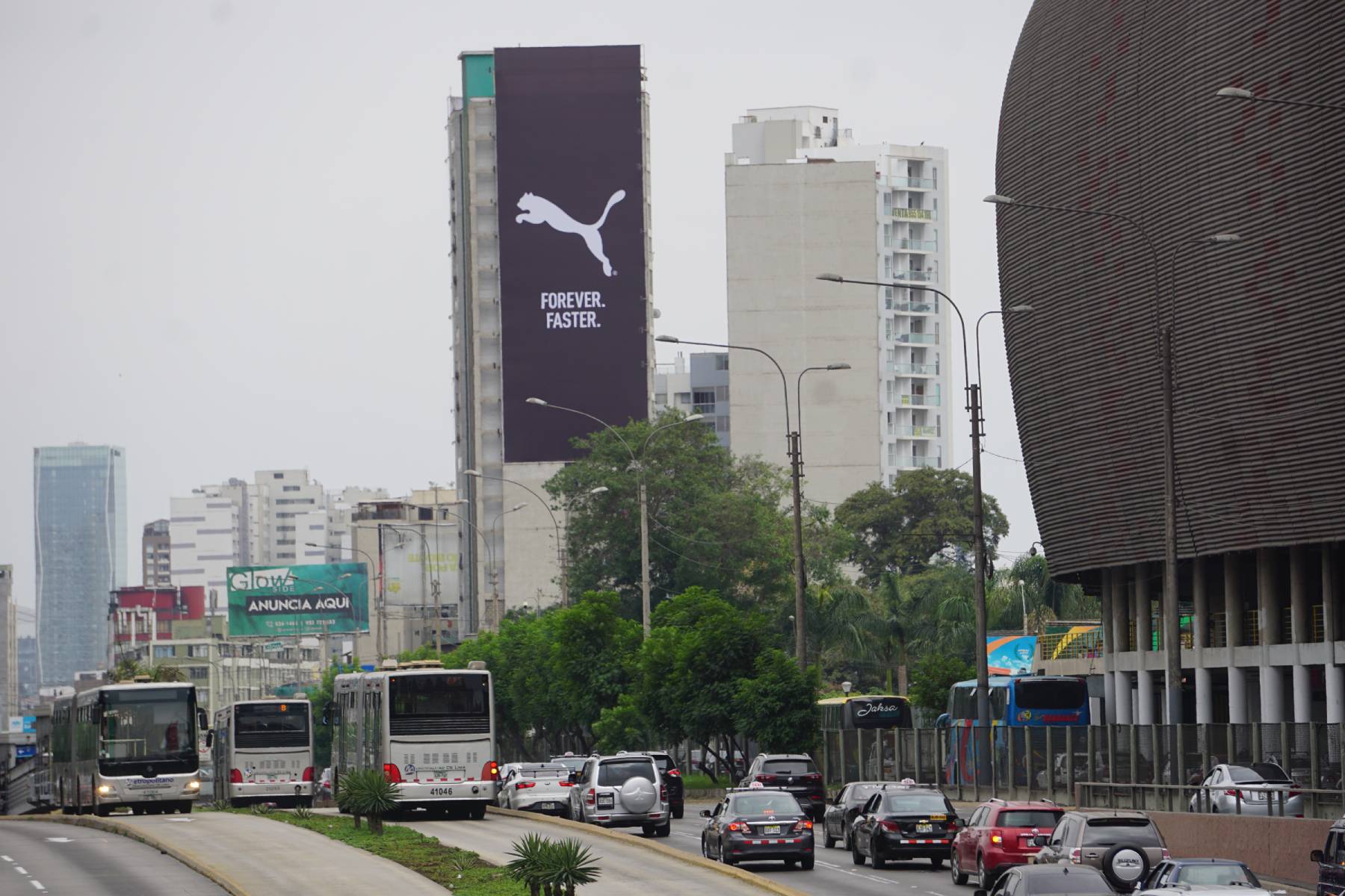 Puma